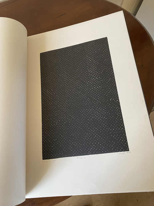 Wendy Kelly. Themes and Variations, 2022-3. Artists unique state book, boxed. 73 x 59 x 8.5 cm